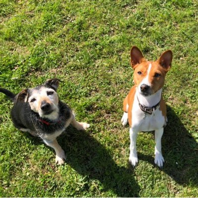 Holly_and_Flashβs_Servant - Twitter Profile Picture of Holly_and_Flashβs_Servant (@Mandy32063755) on Twitter