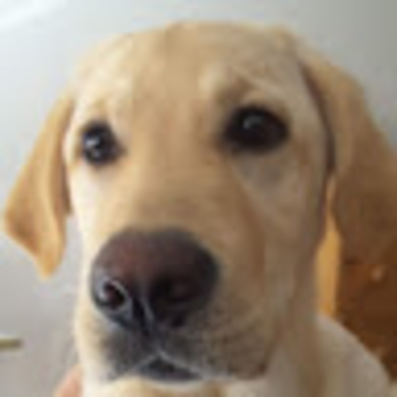 Ruth Cory - Poshmark Profile Picture of Ruth Cory (@rcory1968) on Poshmark