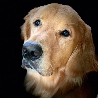 Profile Picture of Gregory Horowitz (@GregoryHorowit5) on Twitter