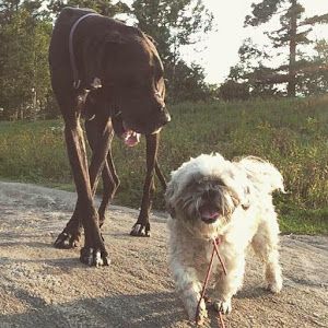 Profile Picture of darcieshepard (@darcieshepard) on Tiktok