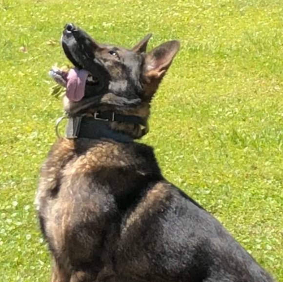 Profile Picture of Jeremyray Abbott (@jrabbott0107) on Poshmark