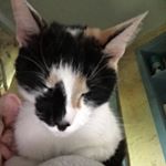 Profile Picture of David Crumley (@ubuibme33) on Instagram