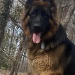 Profile Picture of Michael Flanders (@michael.flanders.14) on Facebook