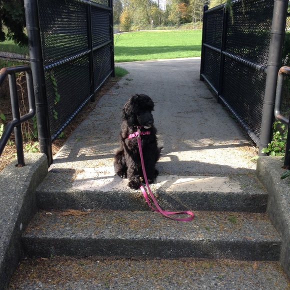 Profile Picture of Marcelle Blancato (@geminitwin53) on Poshmark