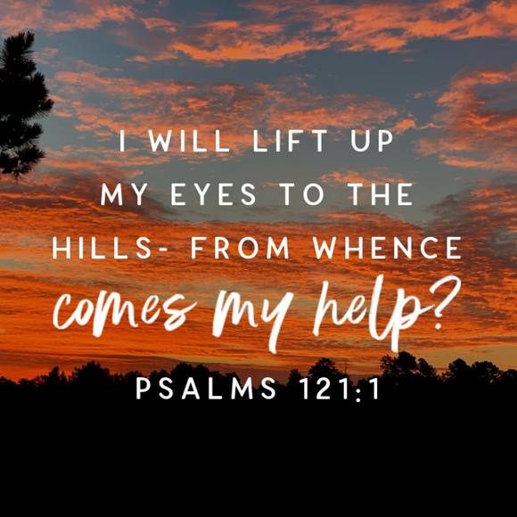 Profile Picture of Randyandtammy Sutton (@tammy_wcs) on Poshmark