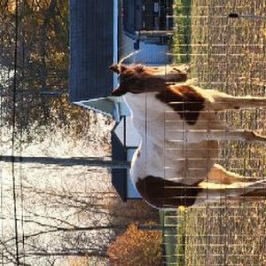 Profile Picture of markkoehler48 (@mark.koehler84) on Tiktok