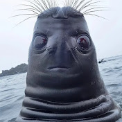 Profile Picture of Tyler Matthews (@tylermatthews2821) on Youtube