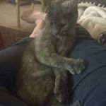 Profile Picture of Anne Stensler Sørensen (@anne_stensler) on Instagram