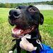 Profile Picture of Matthew Bitner (@matthewbitner7) on Pinterest