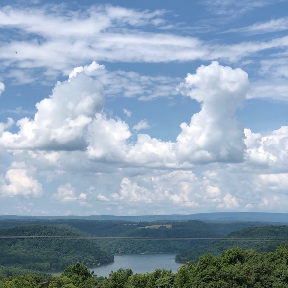 Profile Picture of Stacey Barretta (@bubblzb) on Poshmark