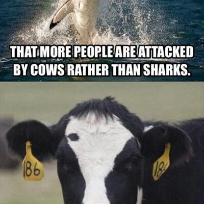 Profile Picture of Gary Groth (@NameBorg) on Twitter