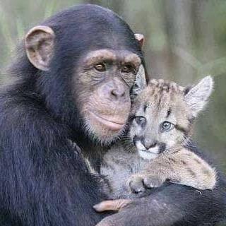 Profile Picture of Édith Lepage (@&) on Facebook