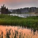 Profile Picture of Rusty Bethel (@Rusty-Bethel) on Facebook