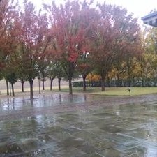 Profile Picture of Stacy Barry-Rice (@sbarryrice) on Twitter