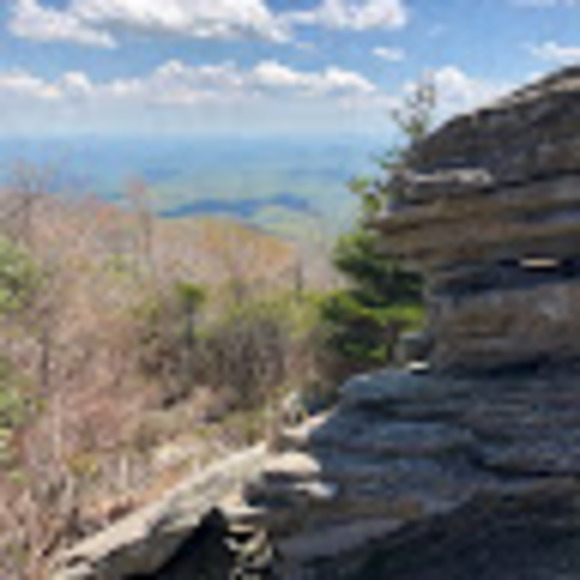 Profile Picture of Curtis Berberick (@a123pop) on Poshmark