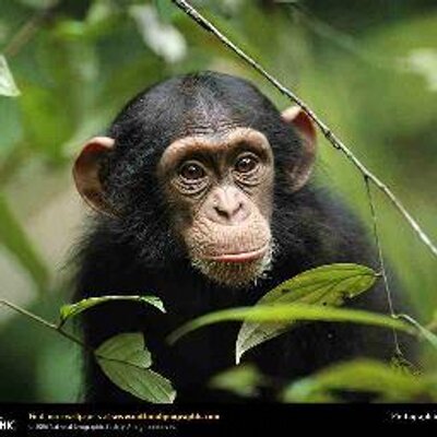 Profile Picture of James McComb (@@JamesMcComb1) on Twitter