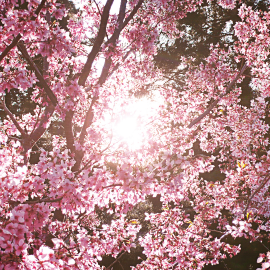 Profile Picture of Pamela Wendel (@texasgrandma28) on Twitter