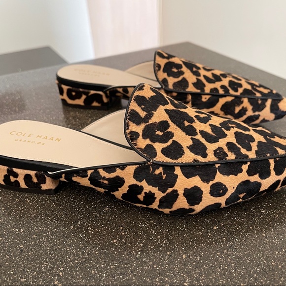 Profile Picture of Joey Snyder (@jojobella55) on Poshmark