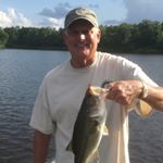 Profile Picture of Steve Watson (@stevesearch) on Instagram