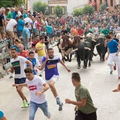 Profile Picture of David Cifuentes (@david_cifu) on Twitter