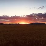 Profile Picture of Clayton Carlson (@clayton_carlson3) on Instagram