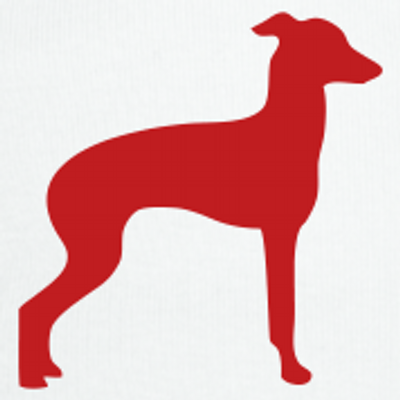 Profile Picture of Andy Davidoff (@reddogmotrsport) on Twitter