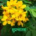 Profile Picture of Deodatt Prasad (@deodatt.prasad) on Facebook