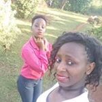 Profile Picture of Stacy Lucy Tracy (@stacytracy8207) on Instagram