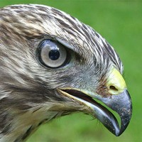 Profile Picture of Kyle Friend (@kyle-friend-8) on Quora