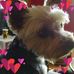 Profile Picture of Debbie S Lightner Cramer (@debbie.cramer.3517) on Facebook