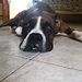 Profile Picture of Tomás Benjamín Galeano (@tomsbenjamng) on Pinterest