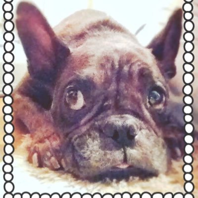 Profile Picture of Ｄ46 (@Daniel_Pry) on Twitter