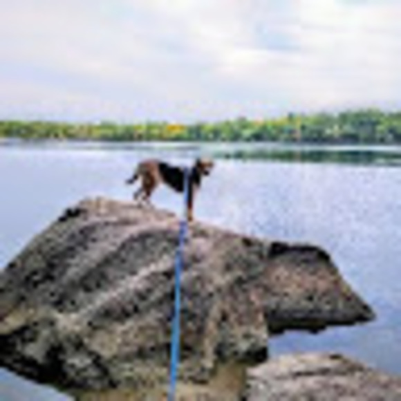 Profile Picture of Daniel Simons (@dsimons105) on Poshmark