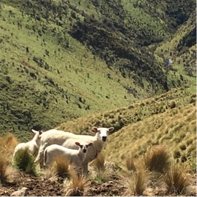 Profile Picture of Aaron McCall (@AaronMc37880088) on Twitter