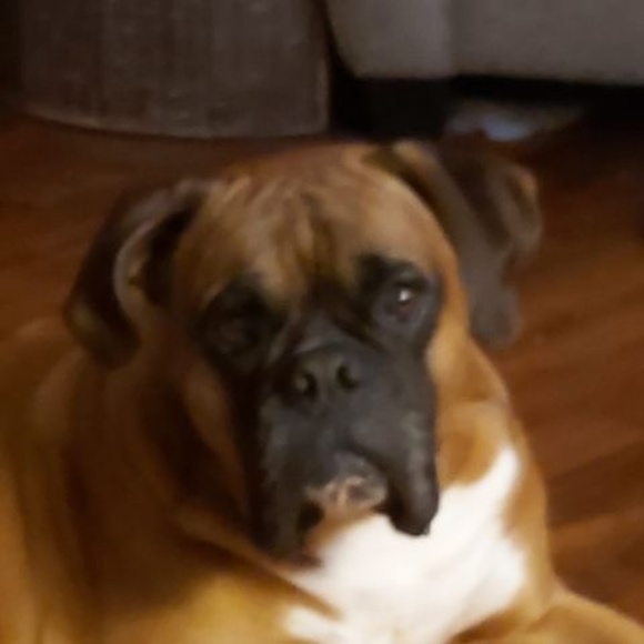 Profile Picture of April Calder (@aprilcalder472) on Poshmark