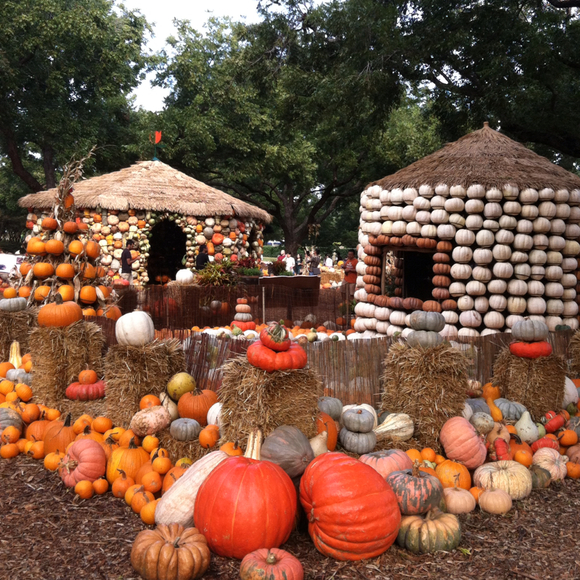 Profile Picture of Renee Tang (@timber1214) on Poshmark