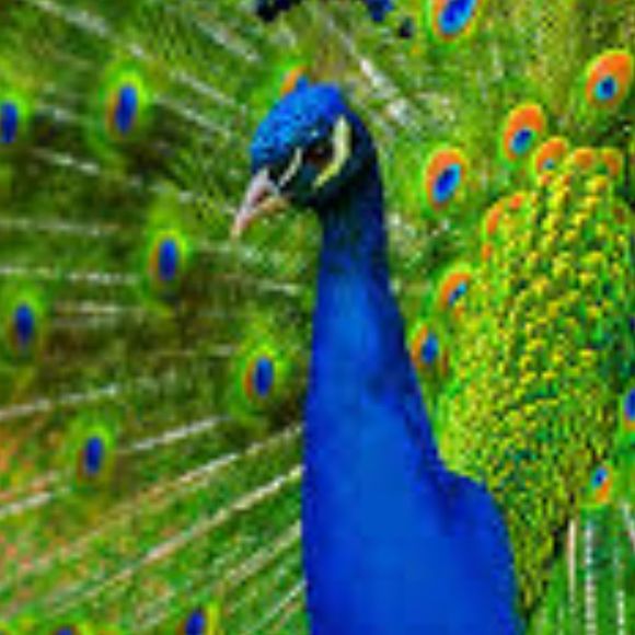 Profile Picture of Kimberly Daniel (@kdanie21_) on Poshmark