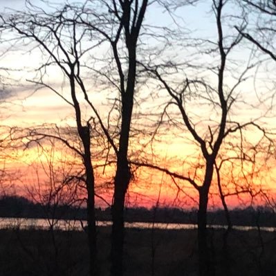 Jonathan Cruse - Twitter Profile Picture of Jonathan Cruse (@jmcruse80) on Twitter