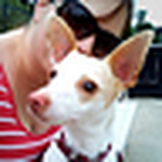 Profile Picture of Kim (@chloe's spot) on Flickr