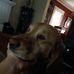 Profile Picture of Grant Schirmer (@Grant-Schirmer) on Facebook