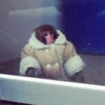 Profile Picture of Jacob Snowden (@jacobsnowden8081) on Instagram