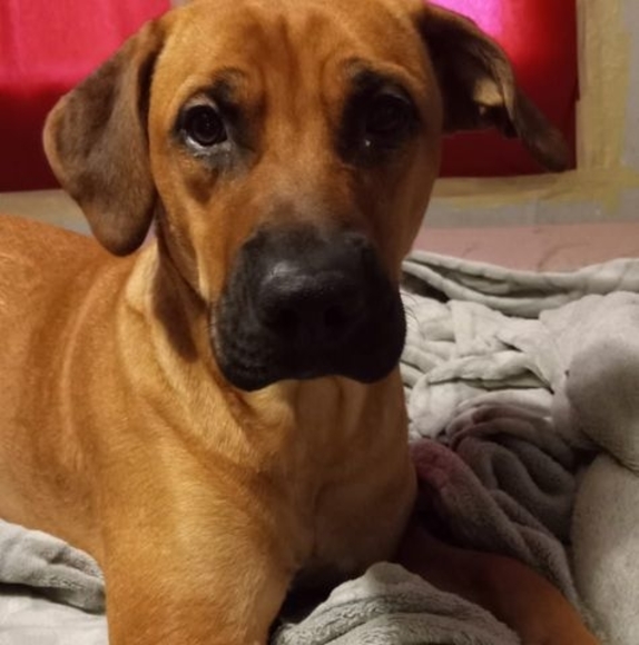 Profile Picture of Christopher Armstrong (@ninefingers420) on Poshmark