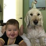 Brooks Burgess - Instagram Profile Picture of Brooks Burgess (@brooksryen) on Instagram