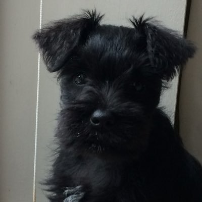Profile Picture of Brian (@BrianColclough) on Twitter