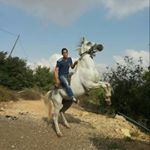 Profile Picture of david perets (@david_perets123) on Instagram