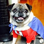 Profile Picture of Kim Wolken (@kim.wolken) on Instagram