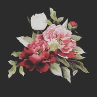 Profile Picture of Ayesha Shaukat (@ayeshashaukat95) on Twitter