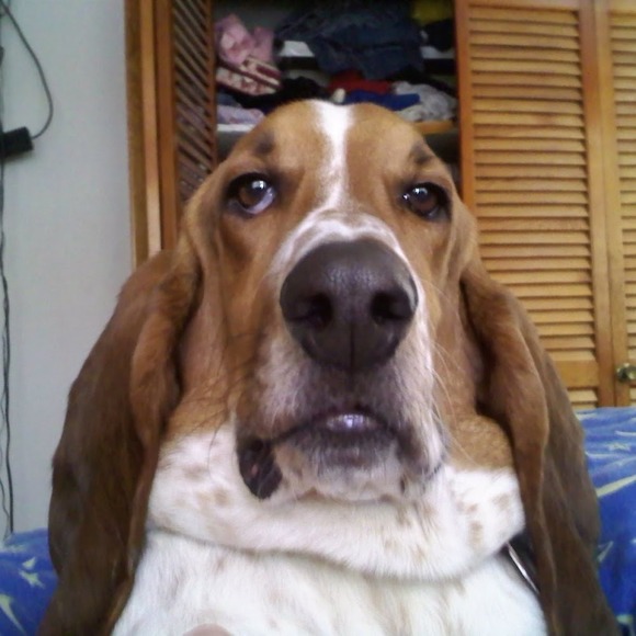 Profile Picture of Amber Pheils (@darkriver86) on Poshmark