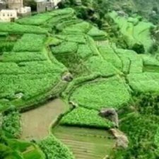 Profile Picture of محمد العنزي (@sheree_schwartz) on Twitter