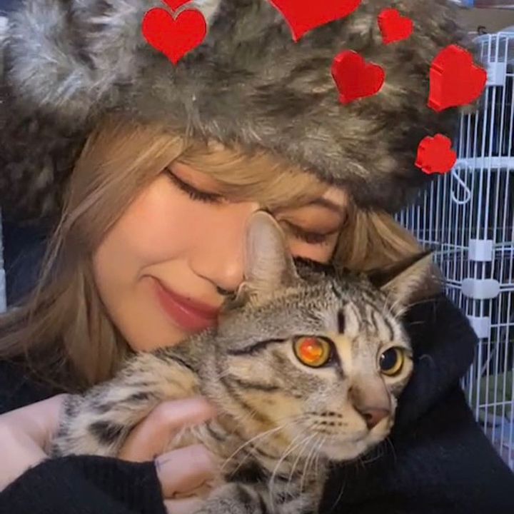 Profile Picture of 鳳カレン🐱△ ♡女優 (@ootori_karen_) on Tiktok